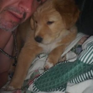 Meet your Posher, Larry